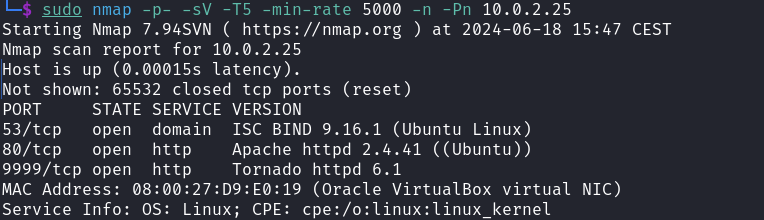 Resultado de nmap: puertos abiertos 53, 80 y 9999
